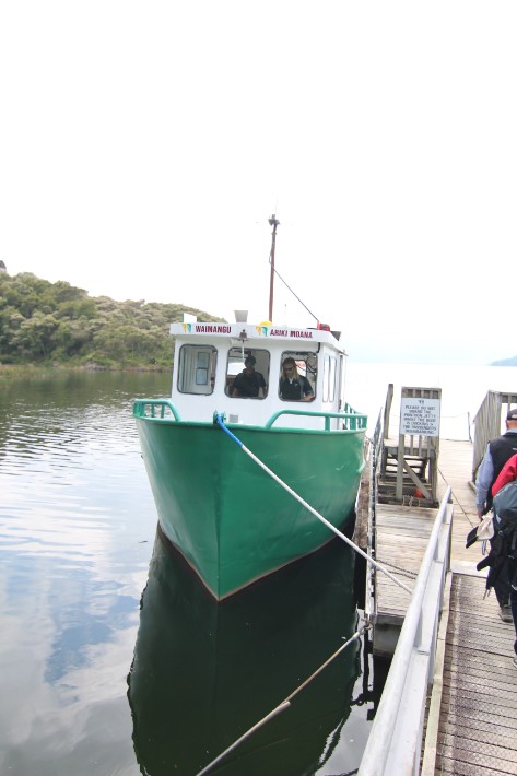 5 Unmissable Things to Do in Rotorua, New Zealand (If You're Tight on Time!) 19 Boat Cruise, Waimangu Volcanic Valley, Rotorua, New Zealand