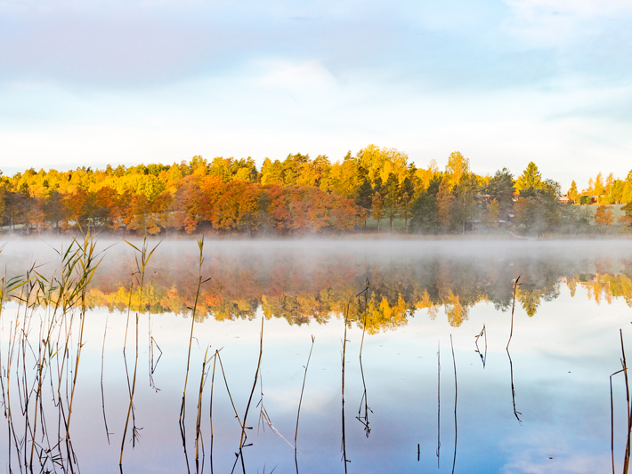 Beauty of Finland's Nuuksio National Park Through Pictures 2 sunrise, golden hour lake, Nuuksio National Park